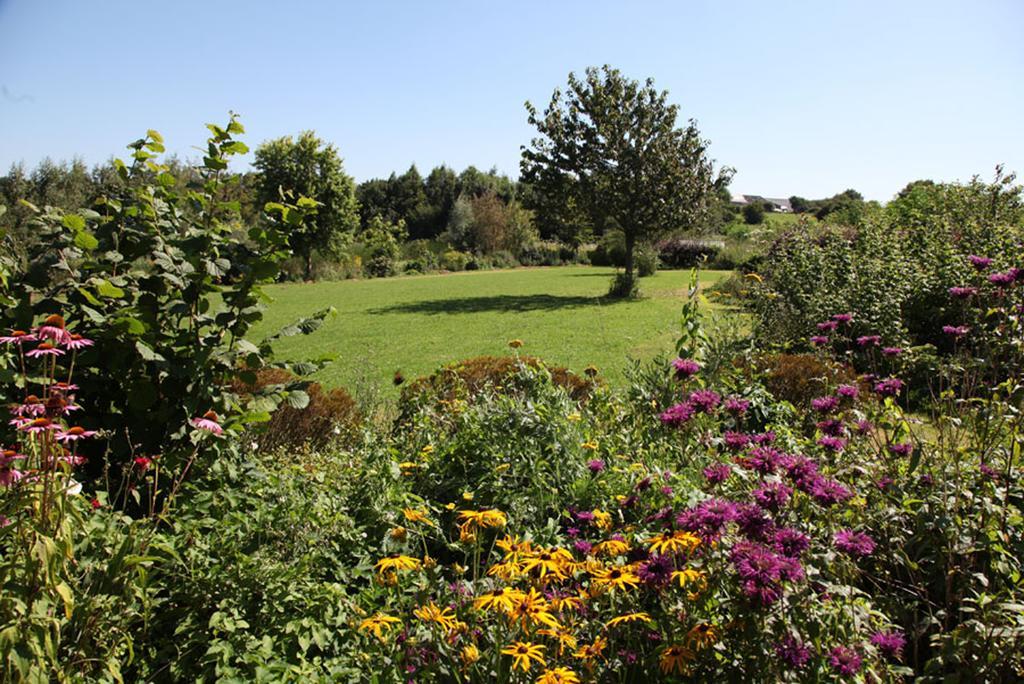 Bed and Breakfast La Citadelle D'Hututu Avesnes-sur-Helpe Exterior foto